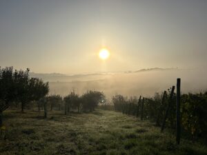 Langhe, Roero, Monferrato