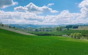Trails and hikes Piemonte