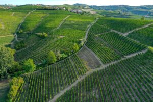 10 Reasons Why Piemonte is a Great Destination for a Summer Holiday