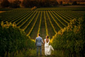 vineyard wedding piemonte italy