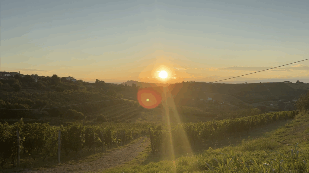 Slow travel Piemonte