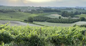 Piemonte vs rest of Italy